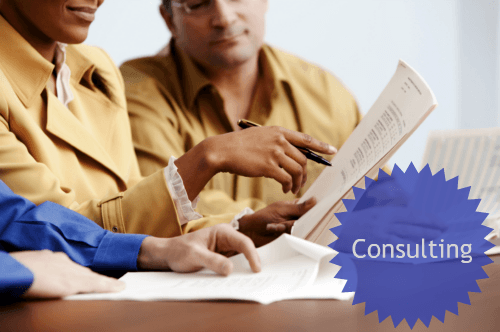 consulting service options