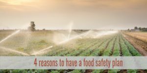 4 reasons to have a food safety plan