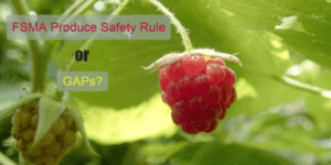 FSMA Produce Safety Rule or GAPs?