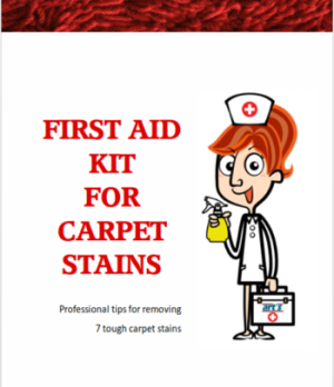 Carpet First Aid Kit