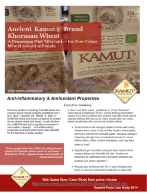 Speculative Case Study - Kamut(R) International